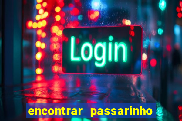 encontrar passarinho morto significado